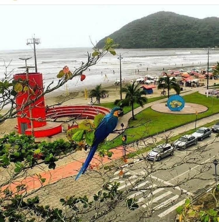 Suites Proximo Ao Rio Jaguareguava Em Bertioga Exterior foto