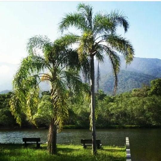 Suites Proximo Ao Rio Jaguareguava Em Bertioga Exterior foto